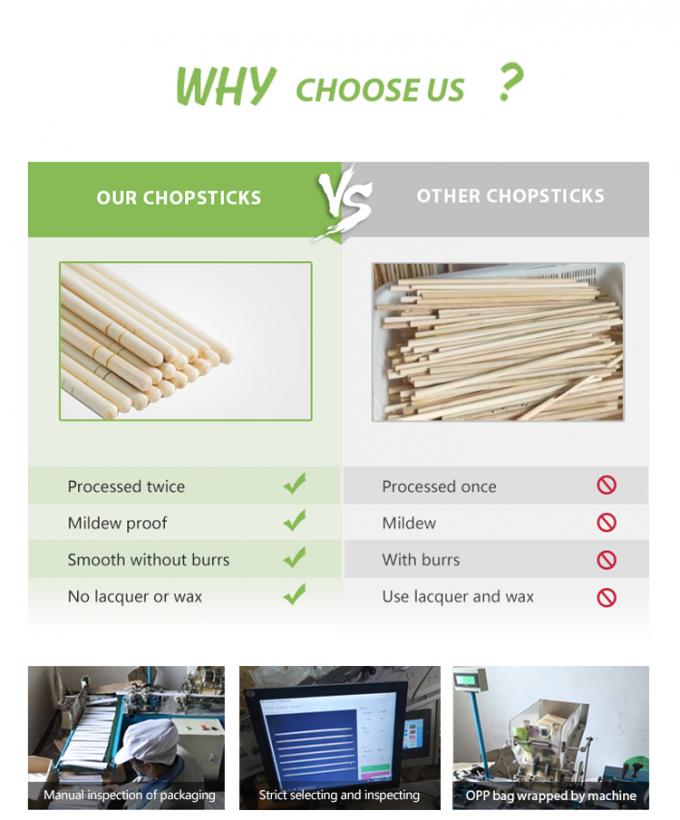 Tensoge vòng đũa bánh Panda đồ ăn đóng gói thực phẩm Ramen Sushi Nhà hàng Bamboo Stick 12