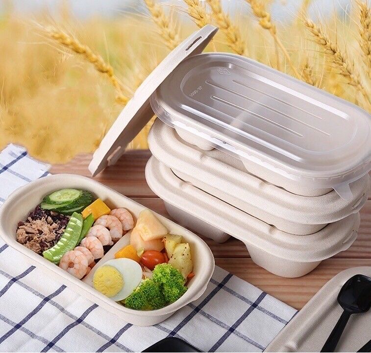 100% Compostable Disposable Eco Packaging Food Grade Sugarcane Pulp Lunch Box