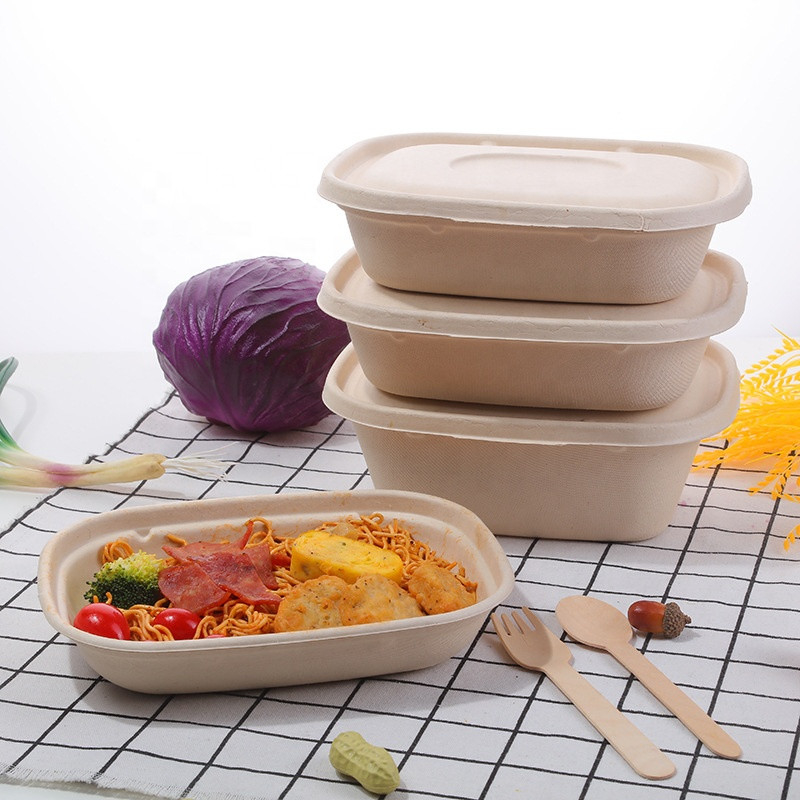 Bagasse Fiber Biodegradable Containers With Lids For Takeout Parties
