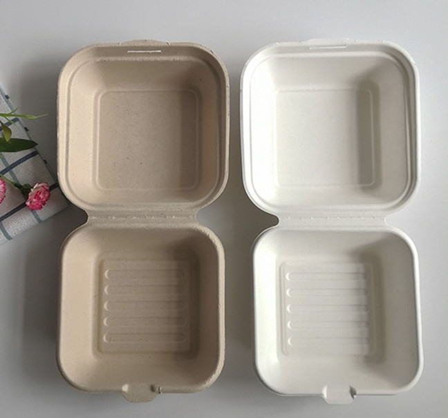 6 Inches Sugarcane Burger Bagasse Take Away Lunch Box Biobased Biodegradable